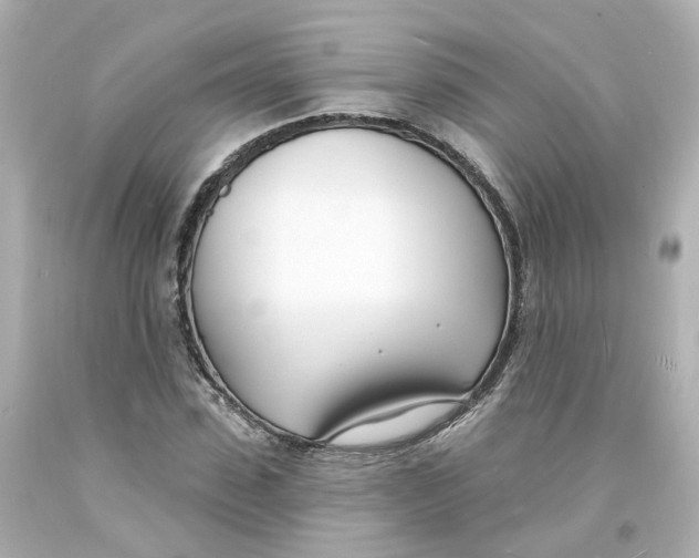 X0000093600923200711051155