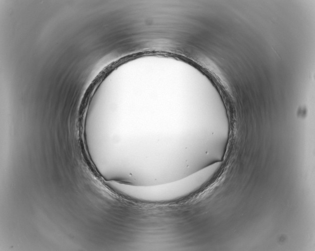 X0000093600924200711051155