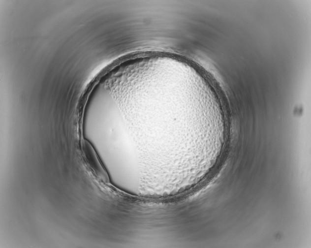 X0000093600925200711051155