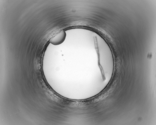 X0000093600929200711051155