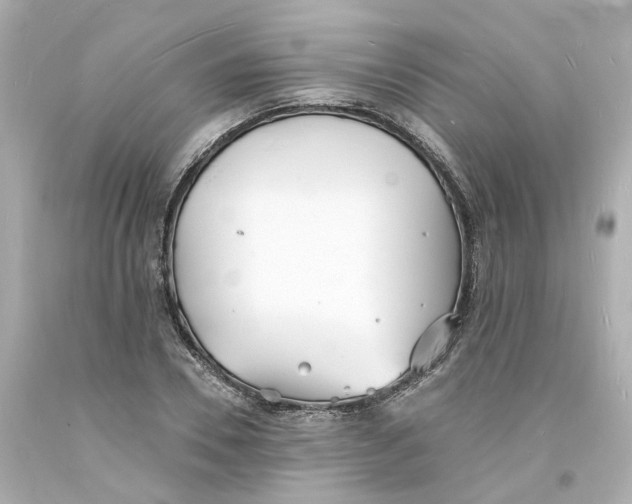 X0000093600930200711051155