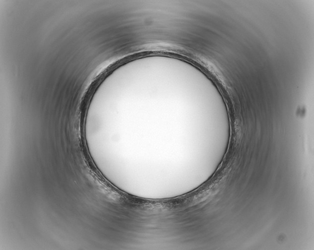 X0000093600931200711051155