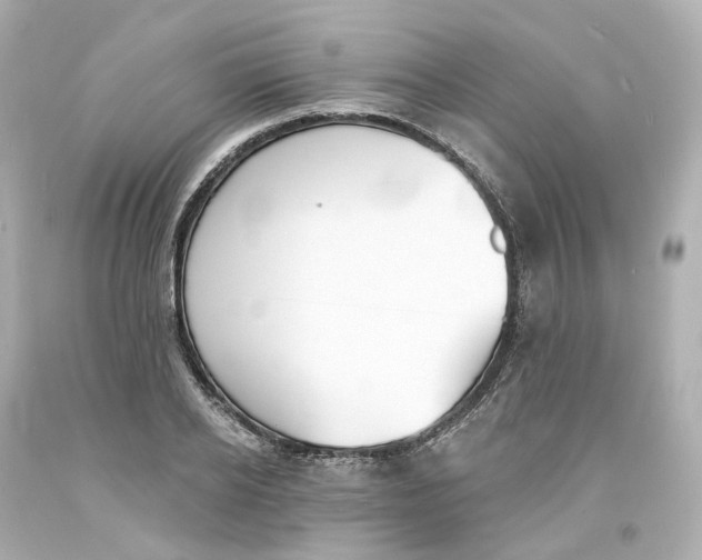 X0000093600934200711051155