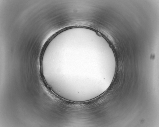 X0000093600936200711051155