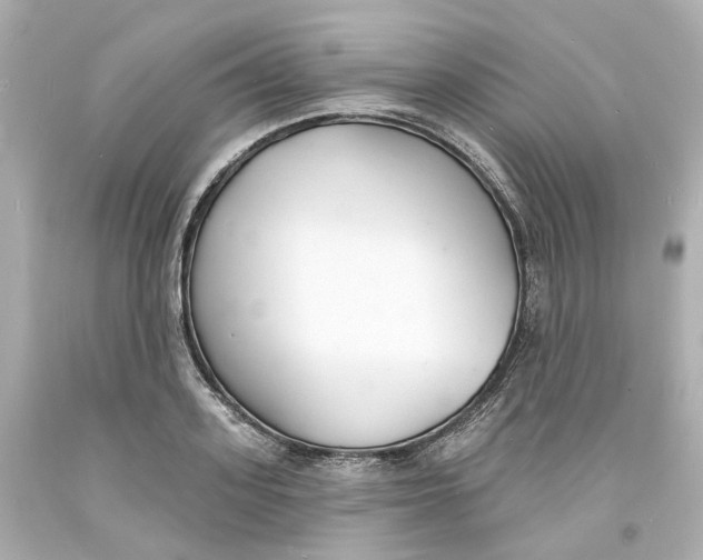 X0000093600939200711051155