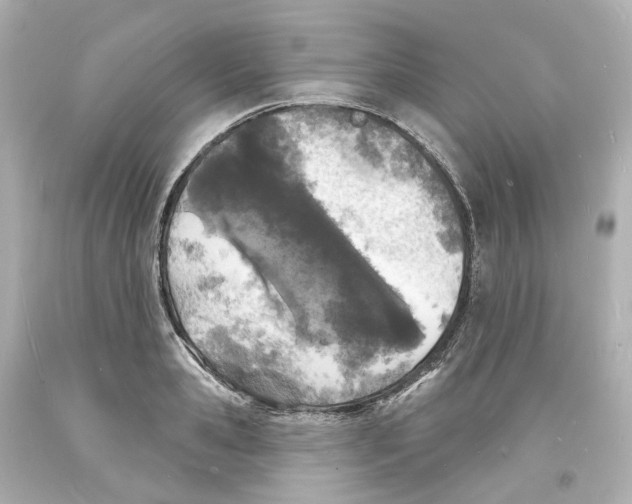 X0000093600941200711051155