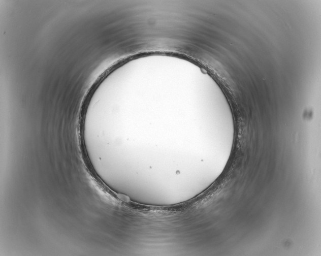 X0000093600942200711051155