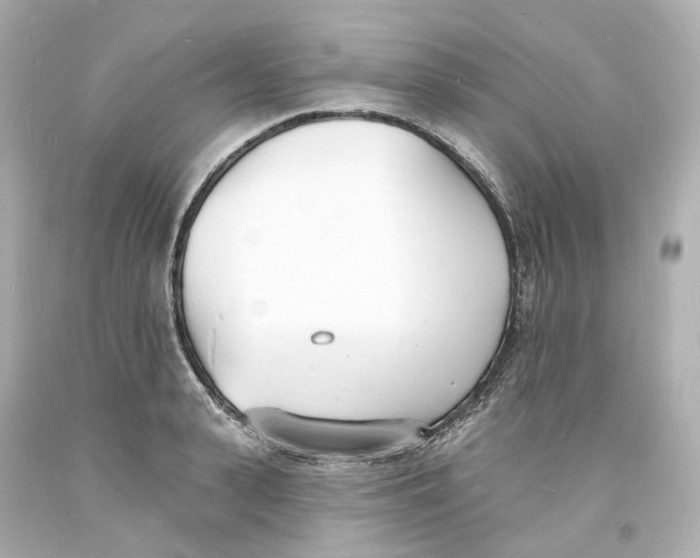 X0000093600943200711051155