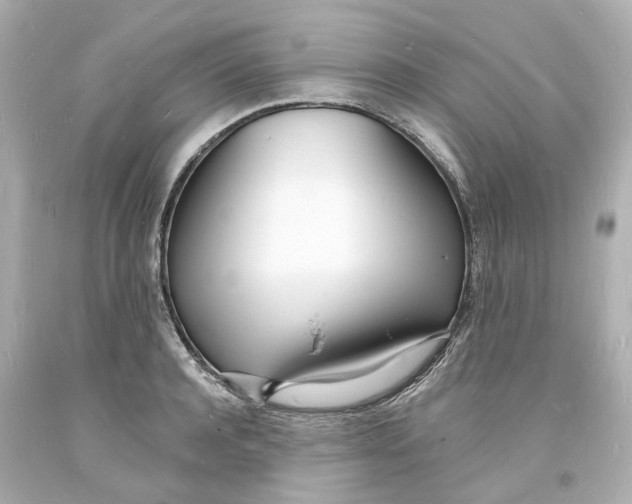 X0000093600944200711051155