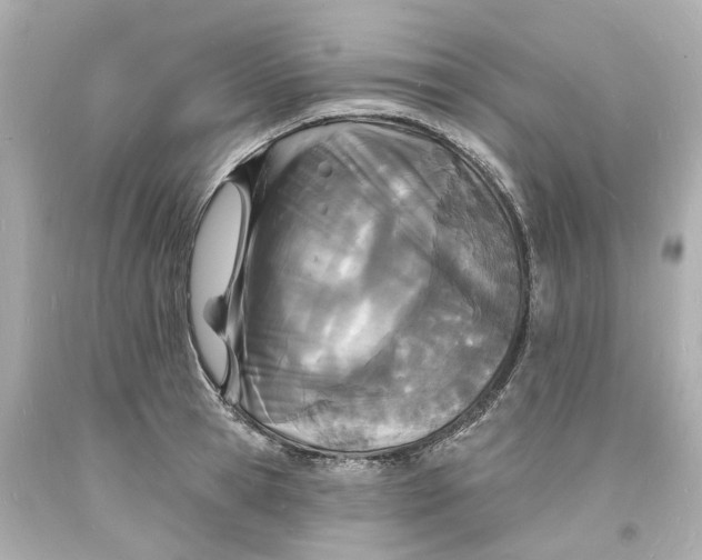 X0000093600945200711051155