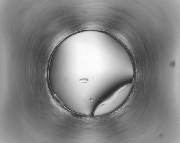 X0000093600946200711051155