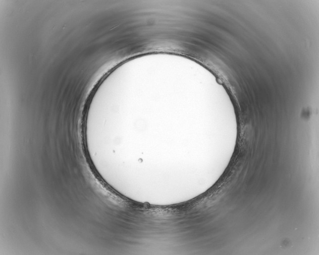 X0000093600947200711051155