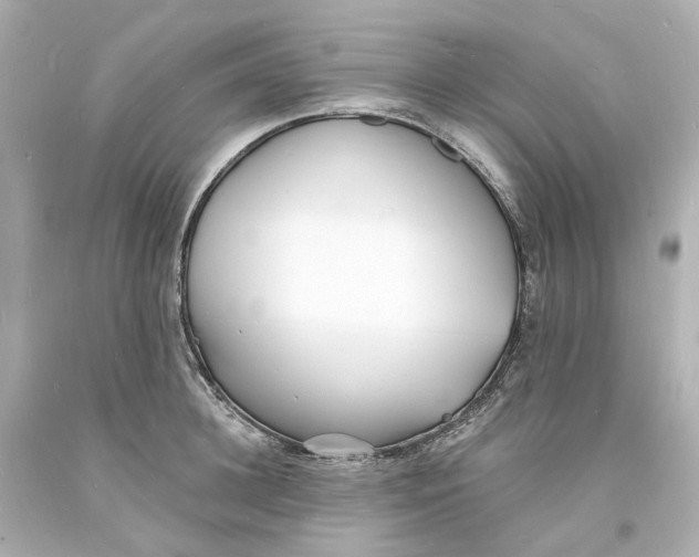 X0000093600948200711051155