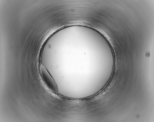 X0000093600949200711051155