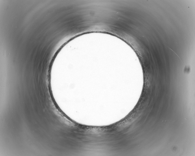 X0000093600950200711051155