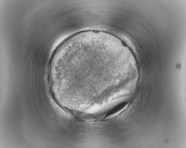 X0000093600952200711051155