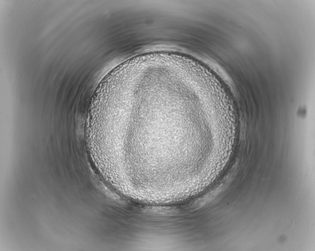 X0000093600953200711051155