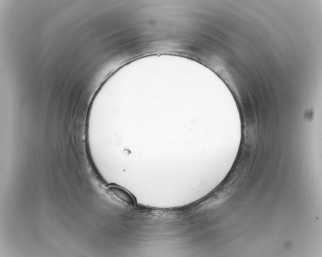 X0000093600954200711051155