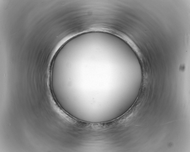 X0000093600955200711051155