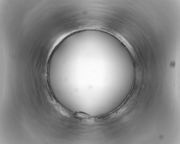 X0000093600956200711051155