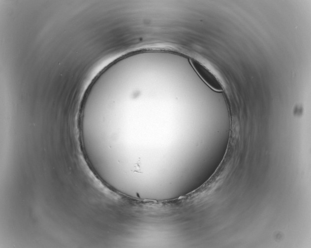 X0000093600959200711051155