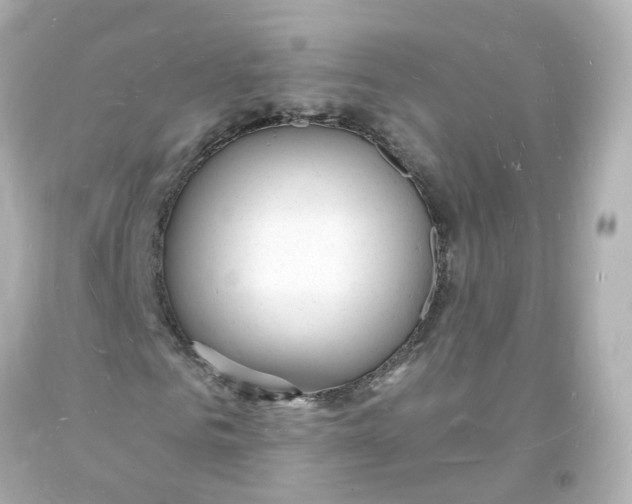 X0000093600961200711051155