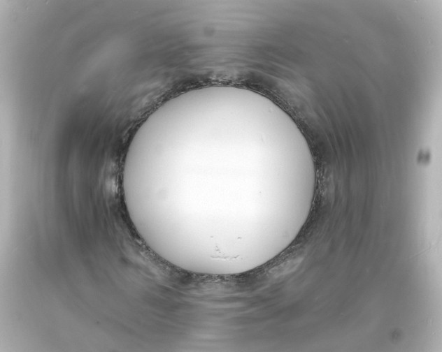 X0000093600962200711051155