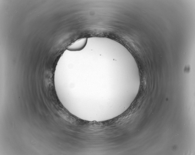 X0000093600964200711051155