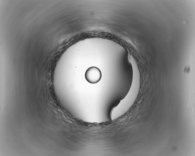 X0000093600965200711051155