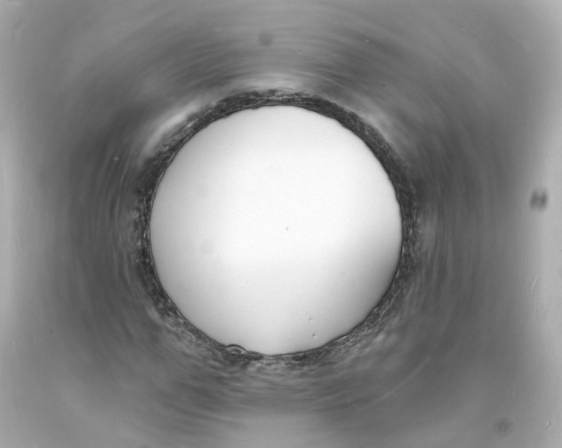 X0000093600967200711051155