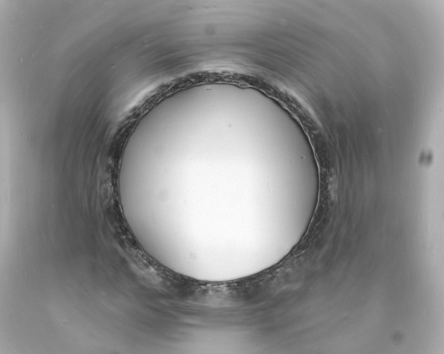 X0000093600968200711051155