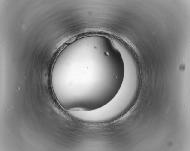 X0000093600969200711051155