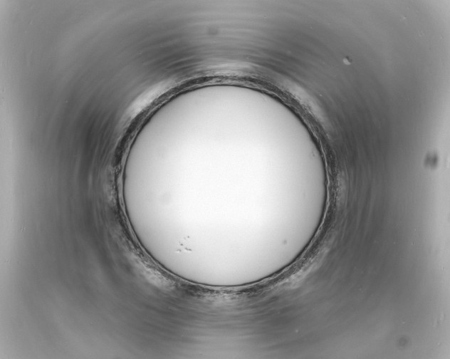 X0000093600970200711051155