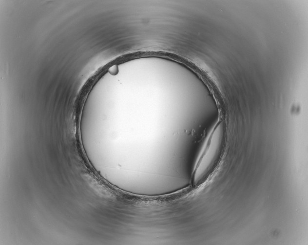 X0000093600973200711051155