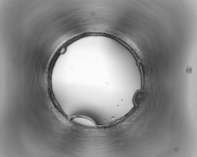 X0000093600976200711051154