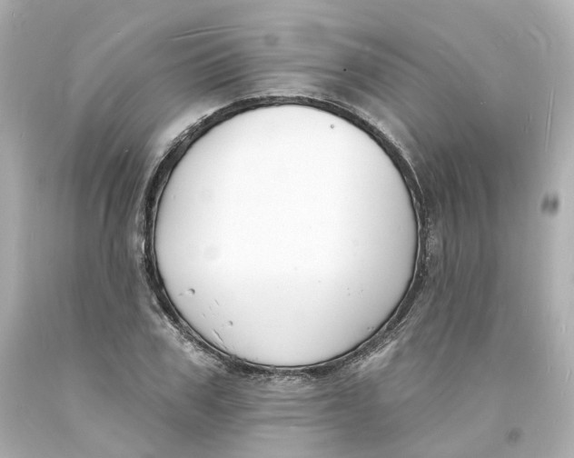 X0000093600979200711051154