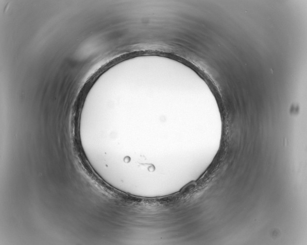 X0000093600983200711051154