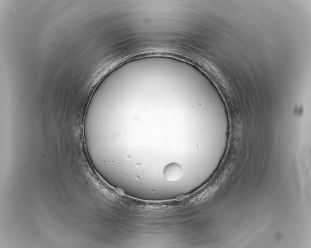 X0000093600985200711051154