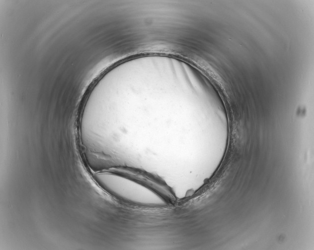 X0000093600989200711051154