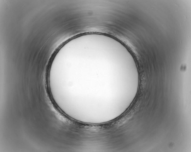 X0000093600991200711051154