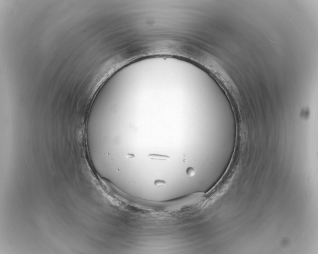 X0000093600993200711051154