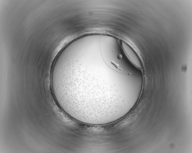 X0000093600994200711051154