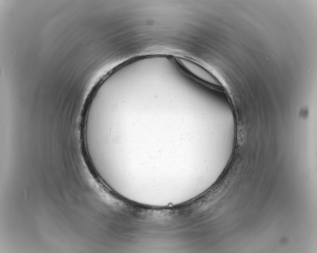 X0000093600995200711051154