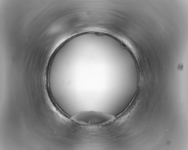 X0000093600999200711051154