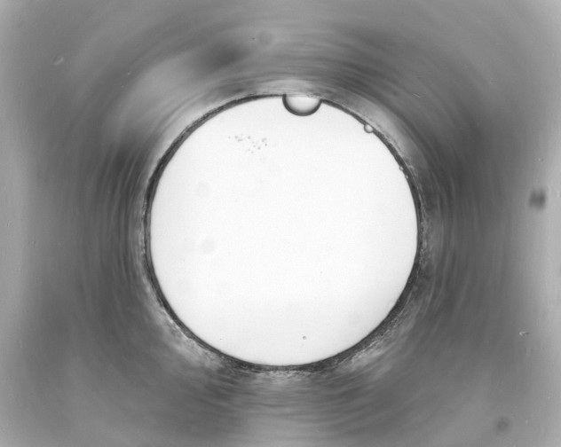 X0000093601000200711051154