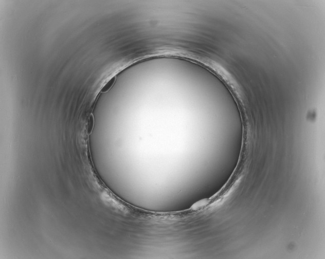 X0000093601001200711051154