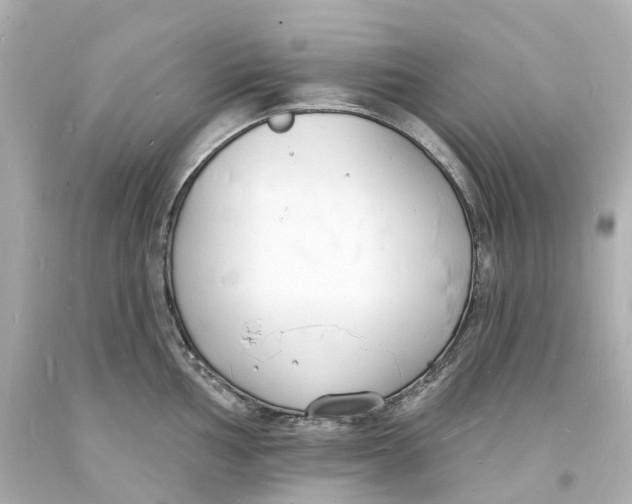 X0000093601002200711051154