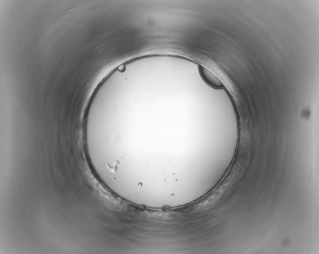 X0000093601004200711051154