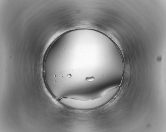 X0000093601005200711051154