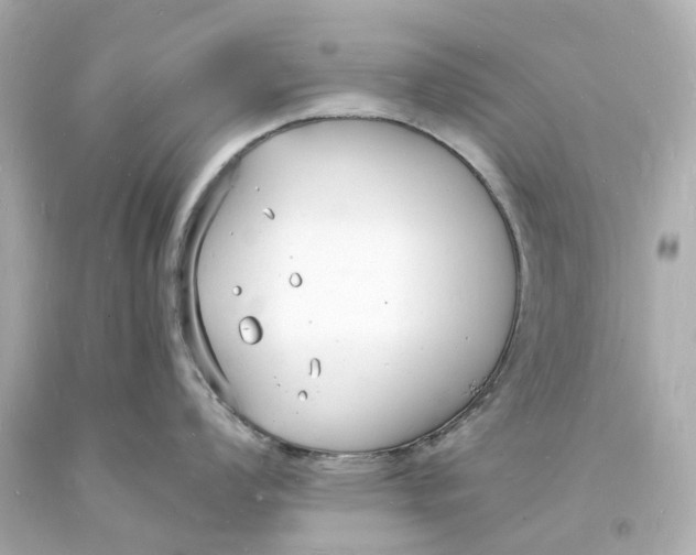 X0000093601008200711051154